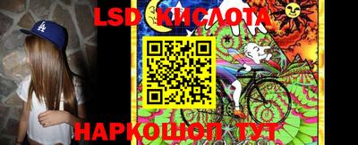 индика Гай