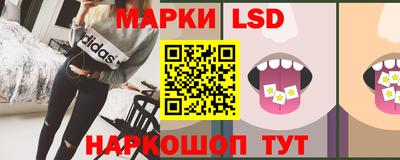 индика Гай