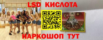 дурь Гатчина