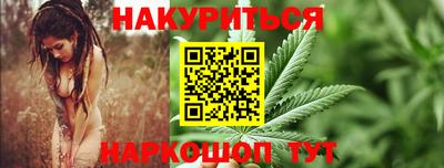 индика Гай