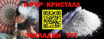 индика Гай